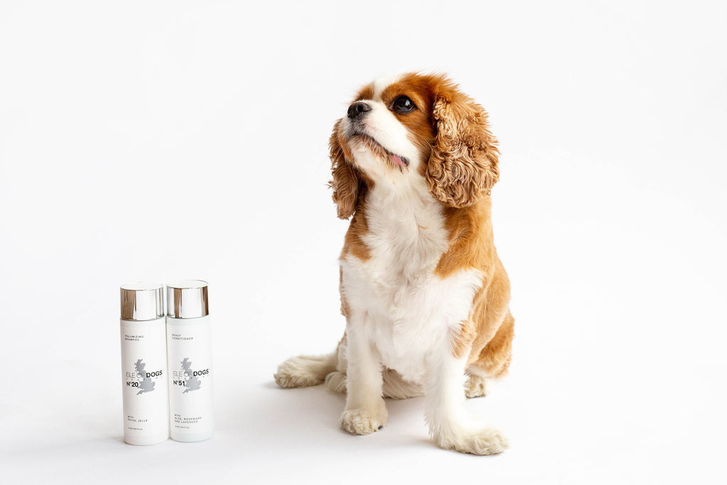 Coature: Primrose Oil for Dogs & Grooming Products
