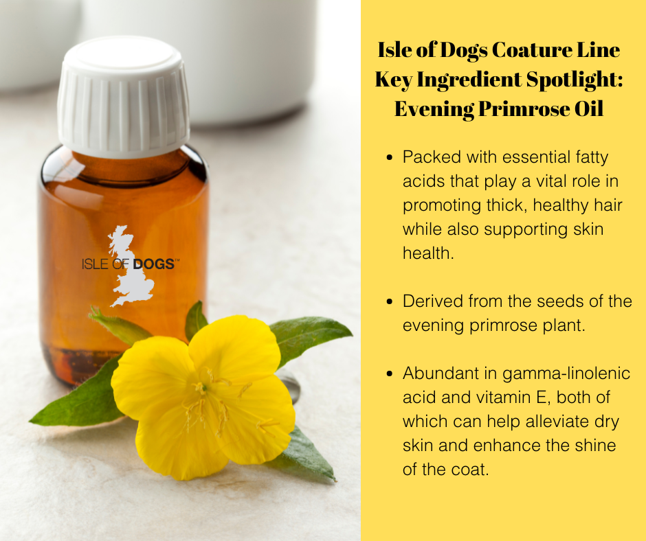 No. 17 Copper Coat Evening Primrose Oil Shampoo – Isle of Dogs