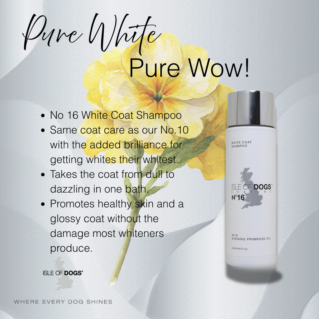 Iris & Sleek ホメオパシーゲル 500ml No. 16 White Coat Evening Primrose Oil Shampoo – Isle of Dogs
