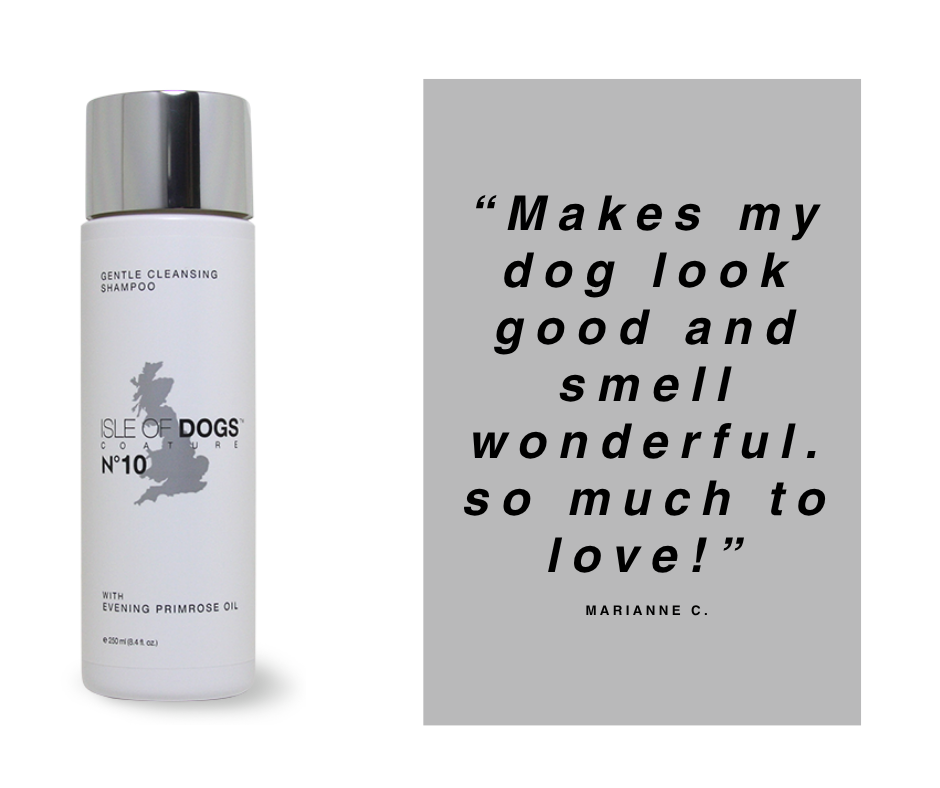 No. 10 Evening Primrose Oil Shampoo – Isle of Dogs